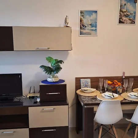 мм комплекс студиа ,,роза,, 公寓 普里莫尔斯科